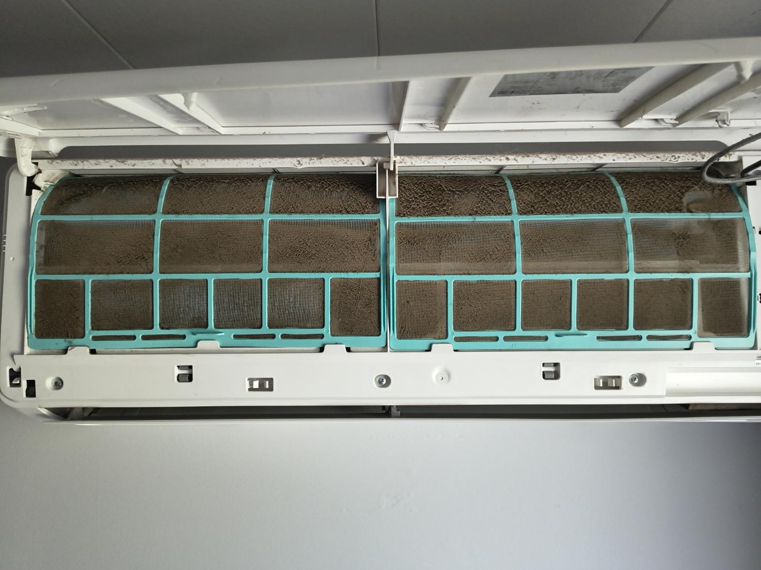 Dirty heat pump filters before cleaning
